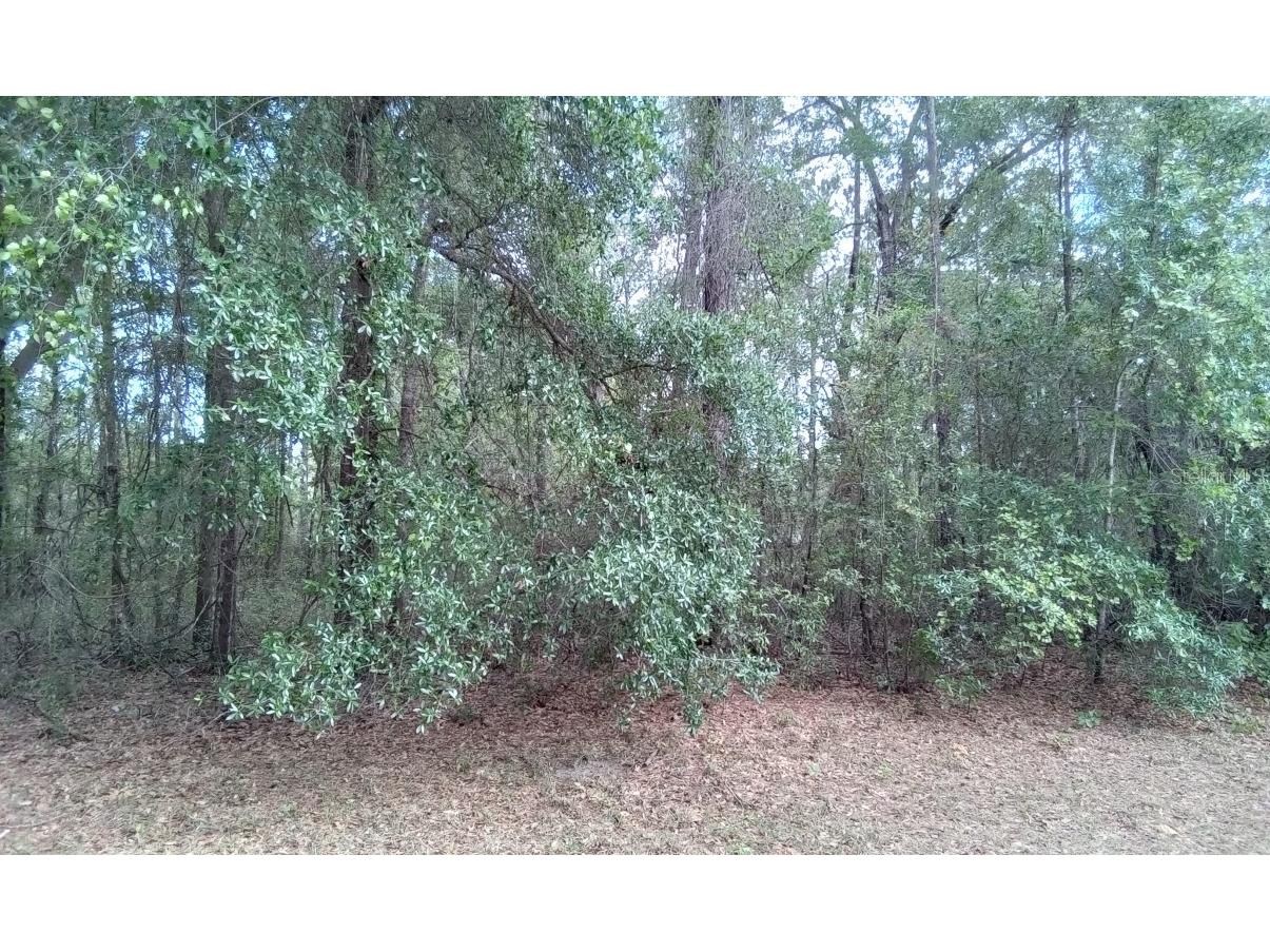 0 SW 129th Street #4 Ocala FL 34473 O6114398 image1