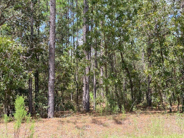 0 SW 130 Terrace Dunnellon FL 34433 OM657002 image1