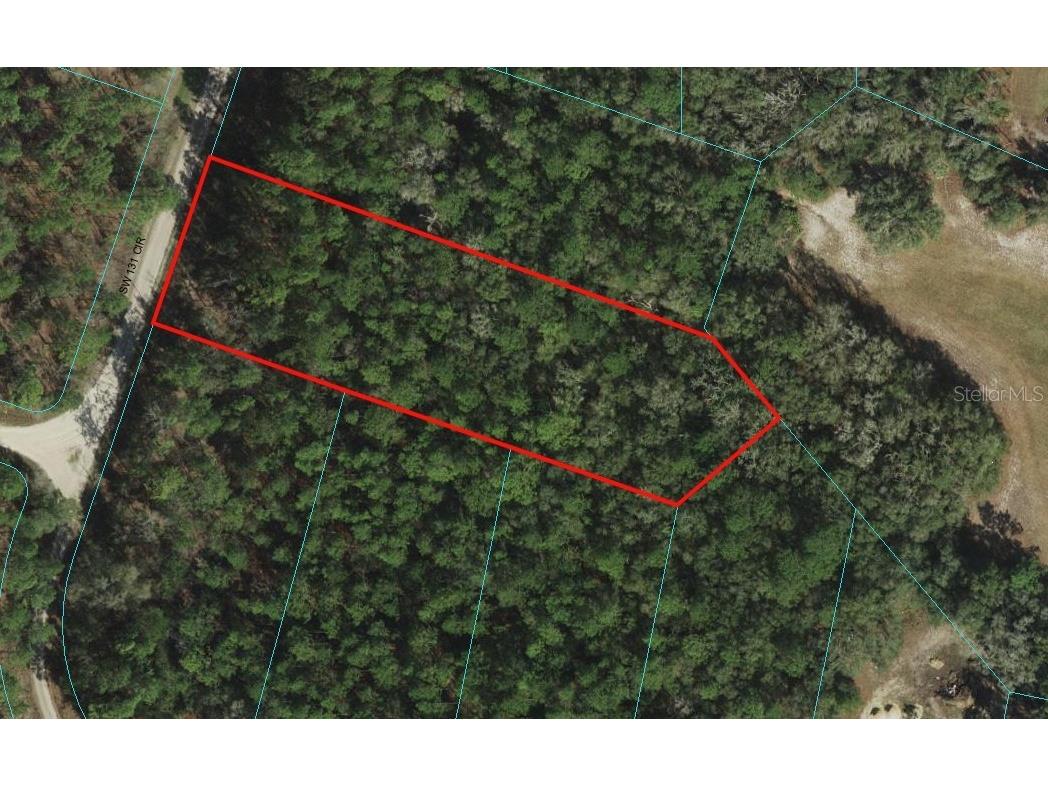 0 SW 131 Circle Ocala FL 34481 OM669319 image1