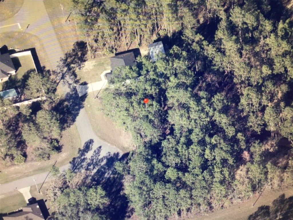 0 SW 131 Loop Ocala FL 34473 OM713506 image5
