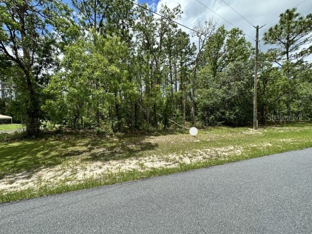 0 SW 131st Lane Ocala FL 34473 O6115180 image1