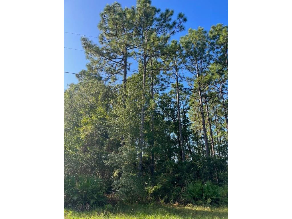 0 SW 131st Loop Ocala FL 34473 OM665623 image1