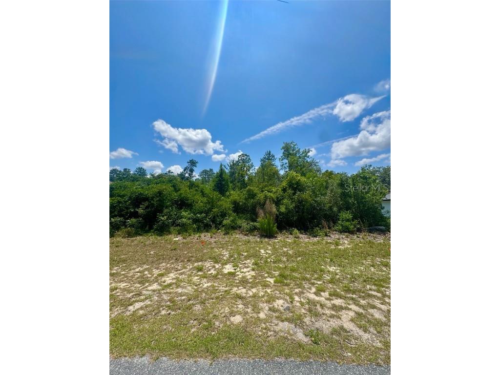 0 SW 131st Place Road Ocala FL 34473 O6301748 image1