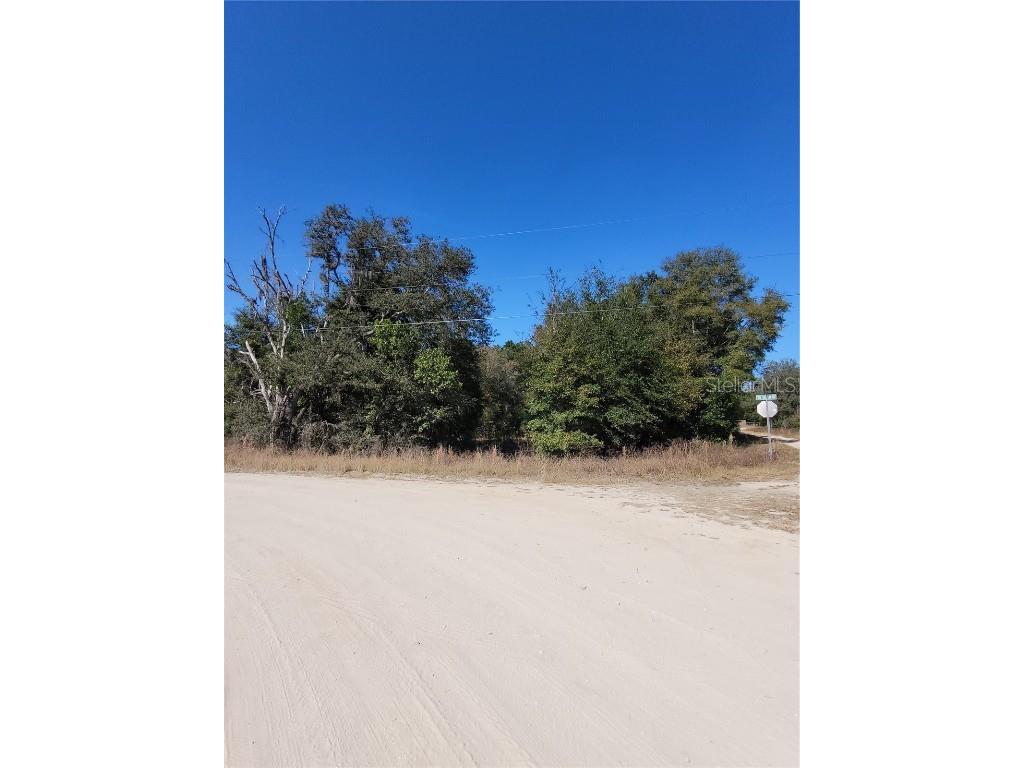 0 SW 132 Court Dunnellon FL 34432 OM713924 image2