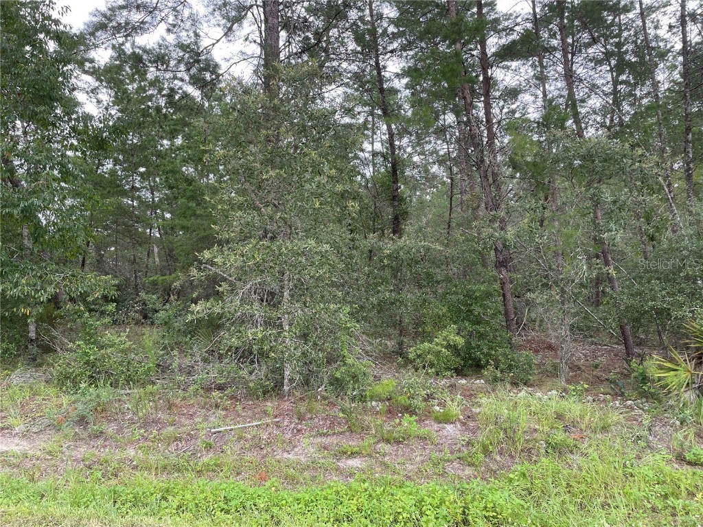 0 SW 132nd Avenue #LOT 6 Dunnellon FL 34432 OM623960 image1