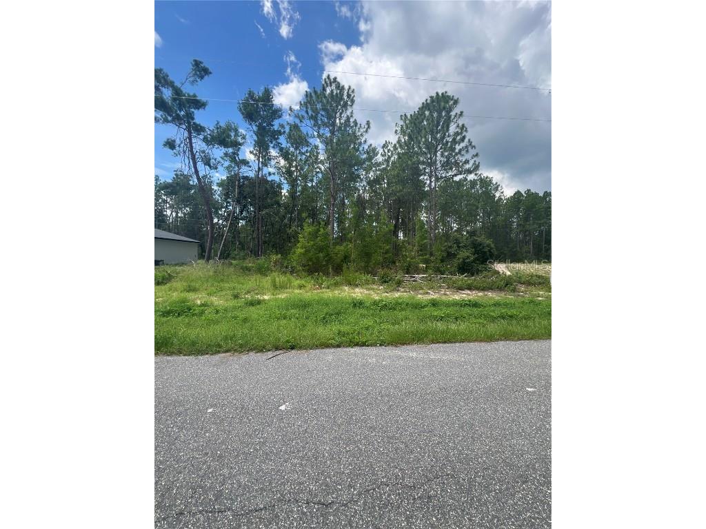0 Sw 132nd Place Ocala FL 34473 O6323722 image1