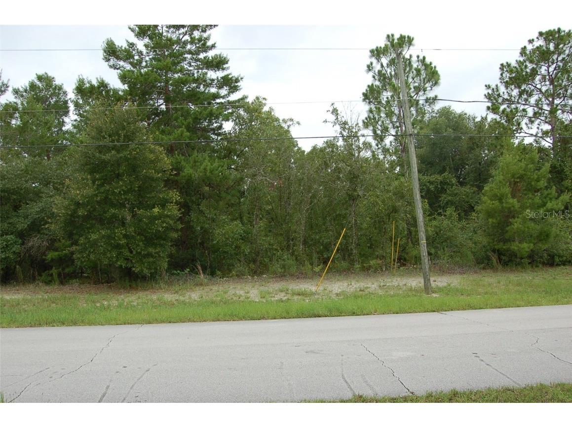 0 SW 133 Lane Rd Lane NW #12 Ocala FL 34473 OM686819 image1