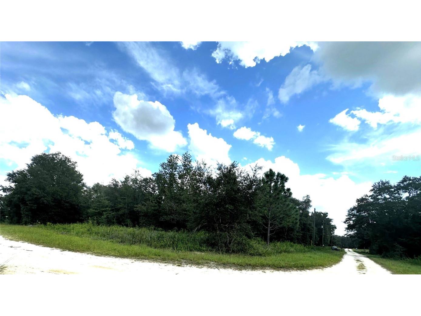 0 SW 134th Court Dunnellon FL 34432 OM709668 image1