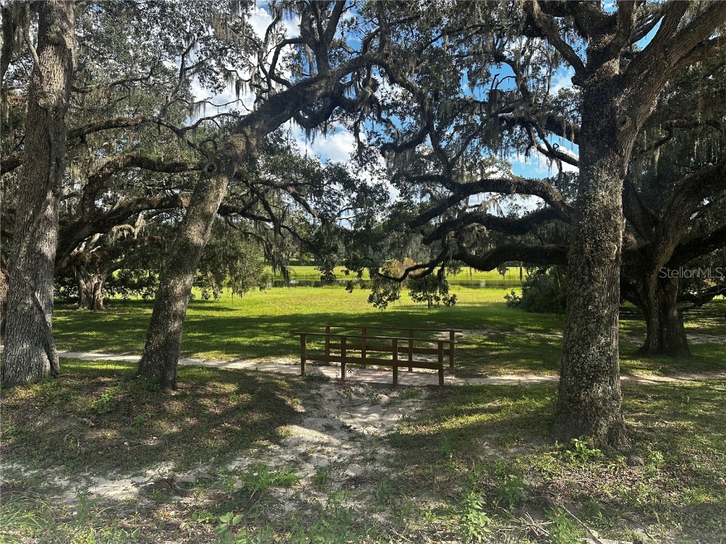 0 SW 134th Court Dunnellon FL 34432 OM709668 image5