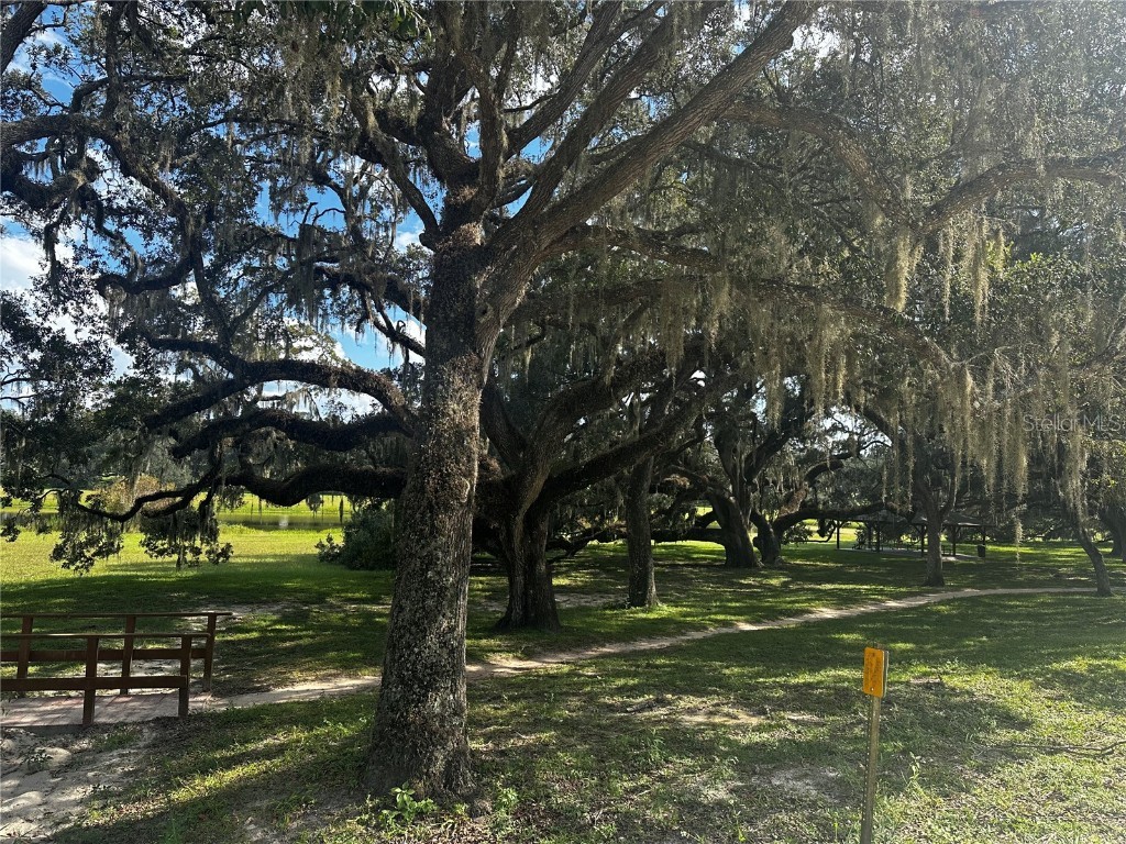 0 SW 134th Court Dunnellon FL 34432 OM709668 image6