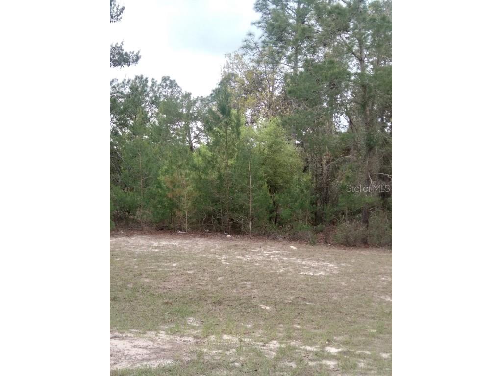0 SW 135th Street Road Ocala FL 34473 OM674544 image1