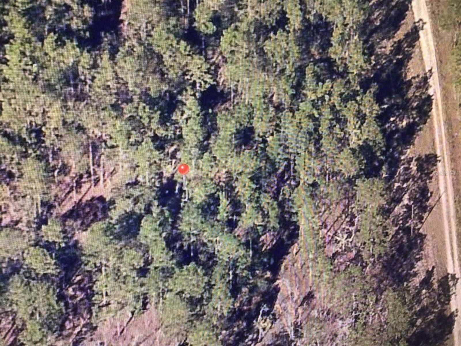0 SW 136 Terrace Dunnellon FL 34432 OM722110 image5