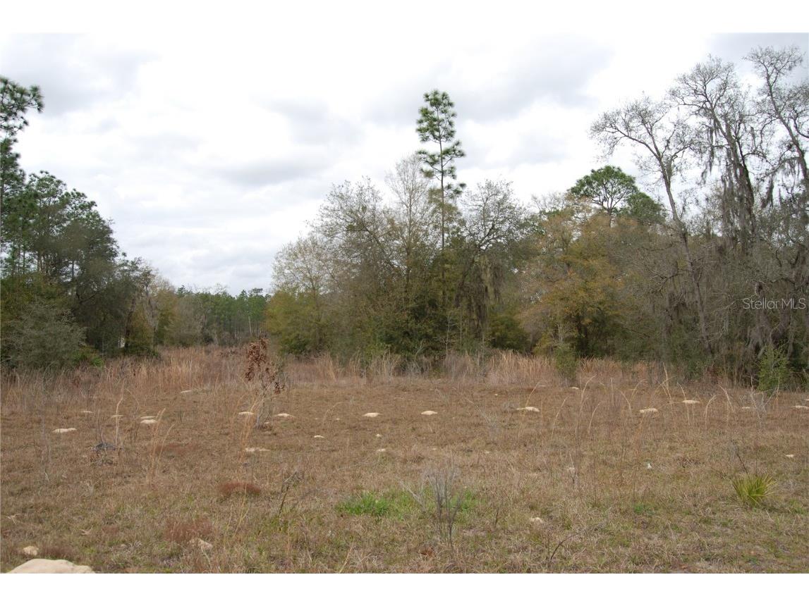 0 SW 136th Avenue Ocala FL 34481 OM674213 image1