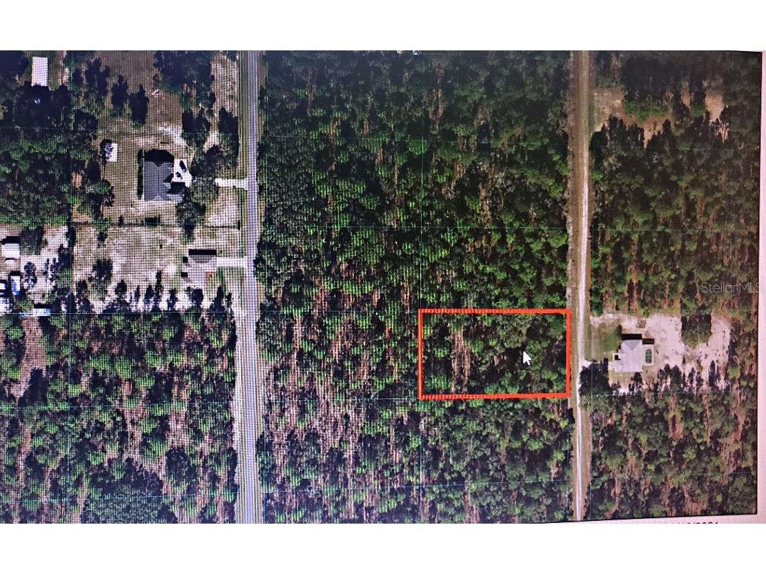 0 SW 136th Terrace Dunnellon FL 34432 OM628896 image1