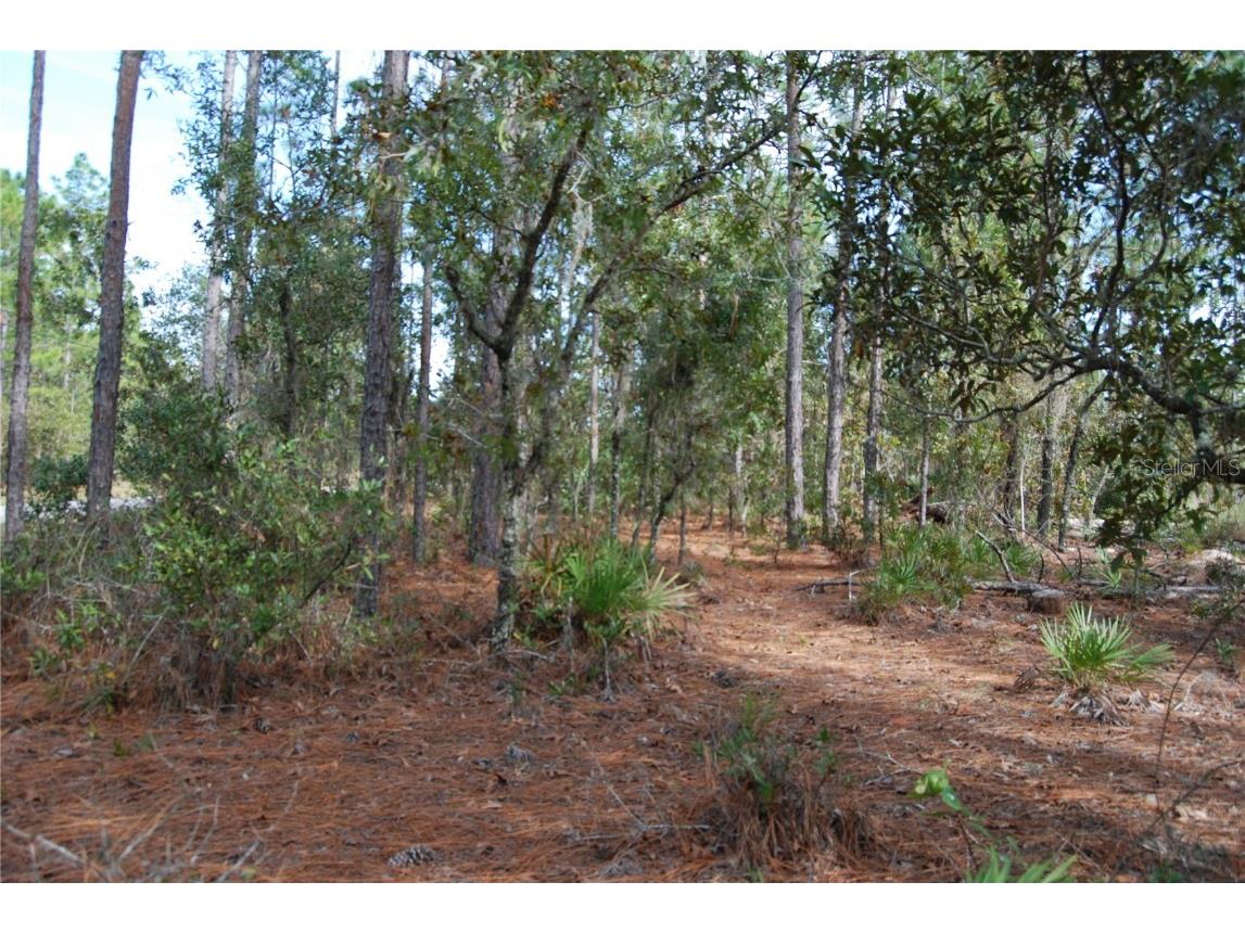 0 SW 139th Street Ocala FL 34473 OM689398 image1
