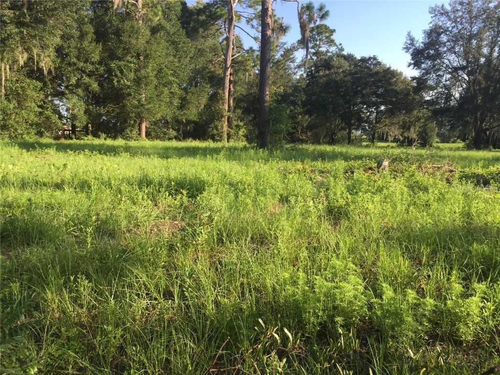 0 SW 140th Avenue SW Dunnellon FL 34432 OM662213 image1