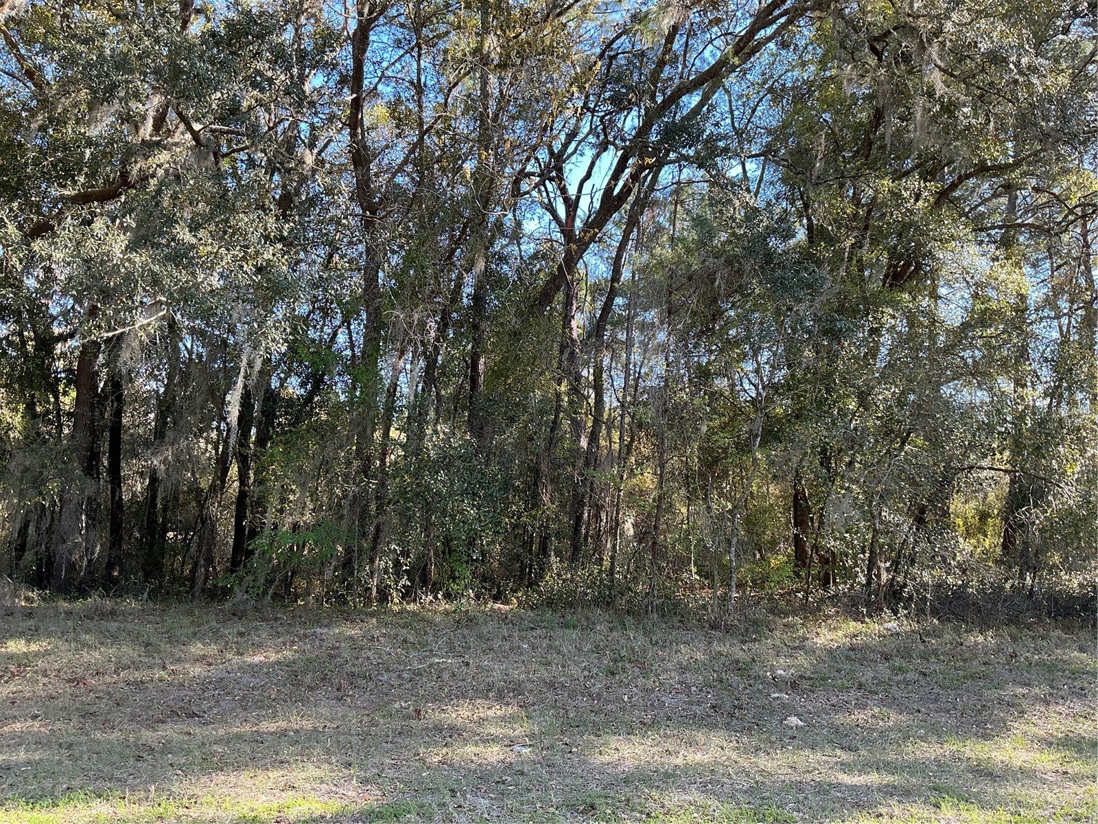0 SW 141 Place Ocala FL 34473 OM700258 image1