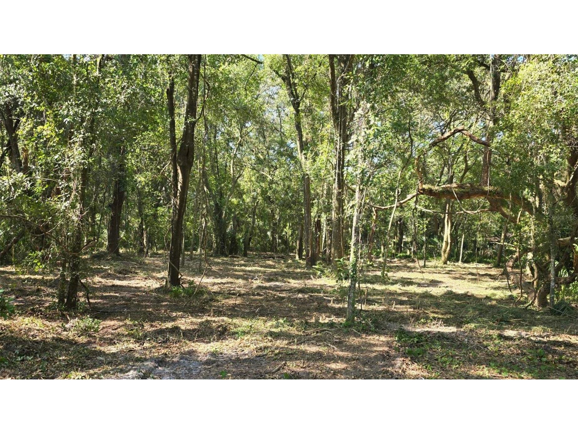 0 SW 141st Tract 69 Place Dunnellon FL 34432 A4659982 image12