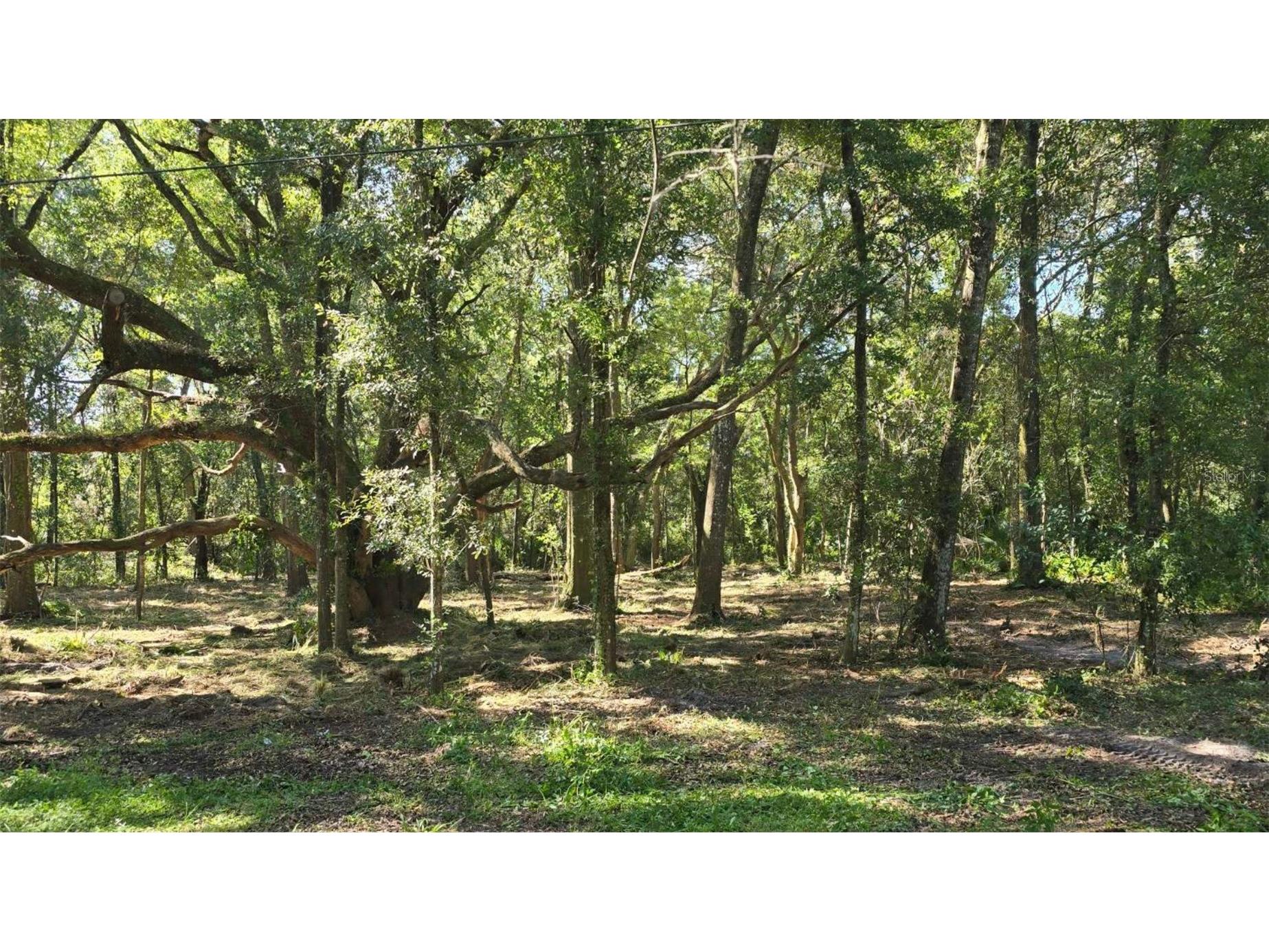 0 SW 141st Tract 69 Place Dunnellon FL 34432 A4659982 image13