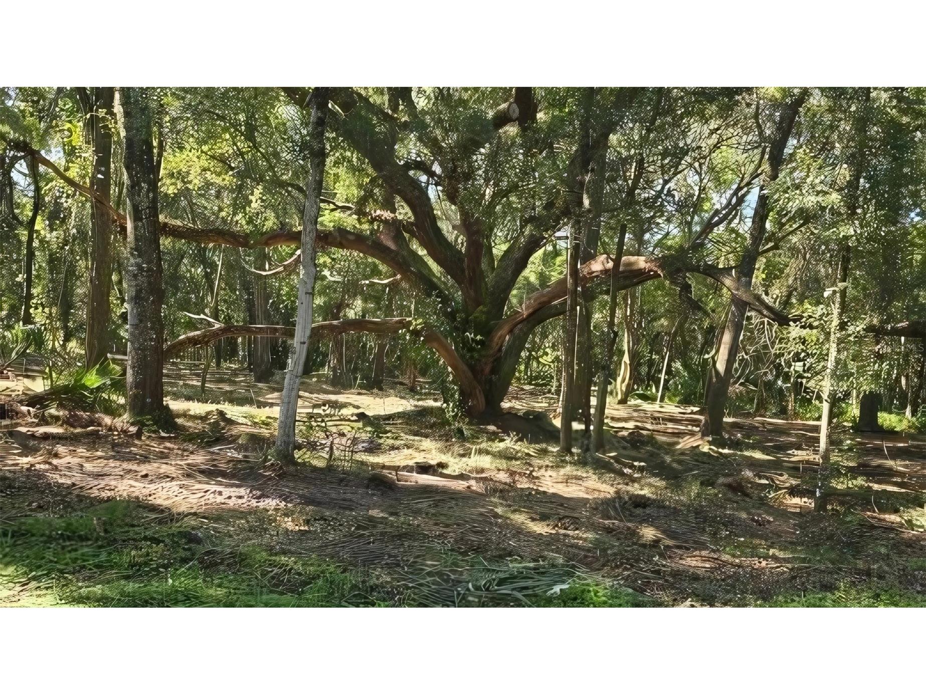 0 SW 141st Tract 69 Place Dunnellon FL 34432 A4659982 image14