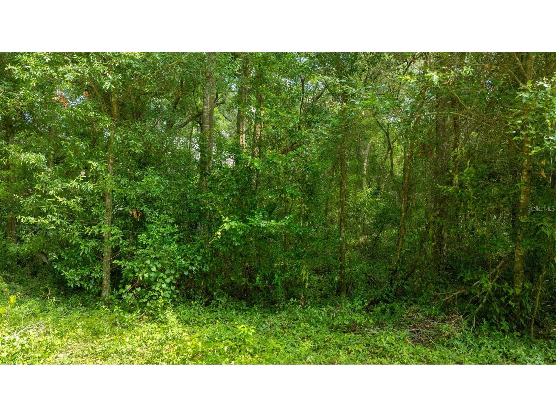 0 SW 141st Tract 69 Place Dunnellon FL 34432 A4659982 image9