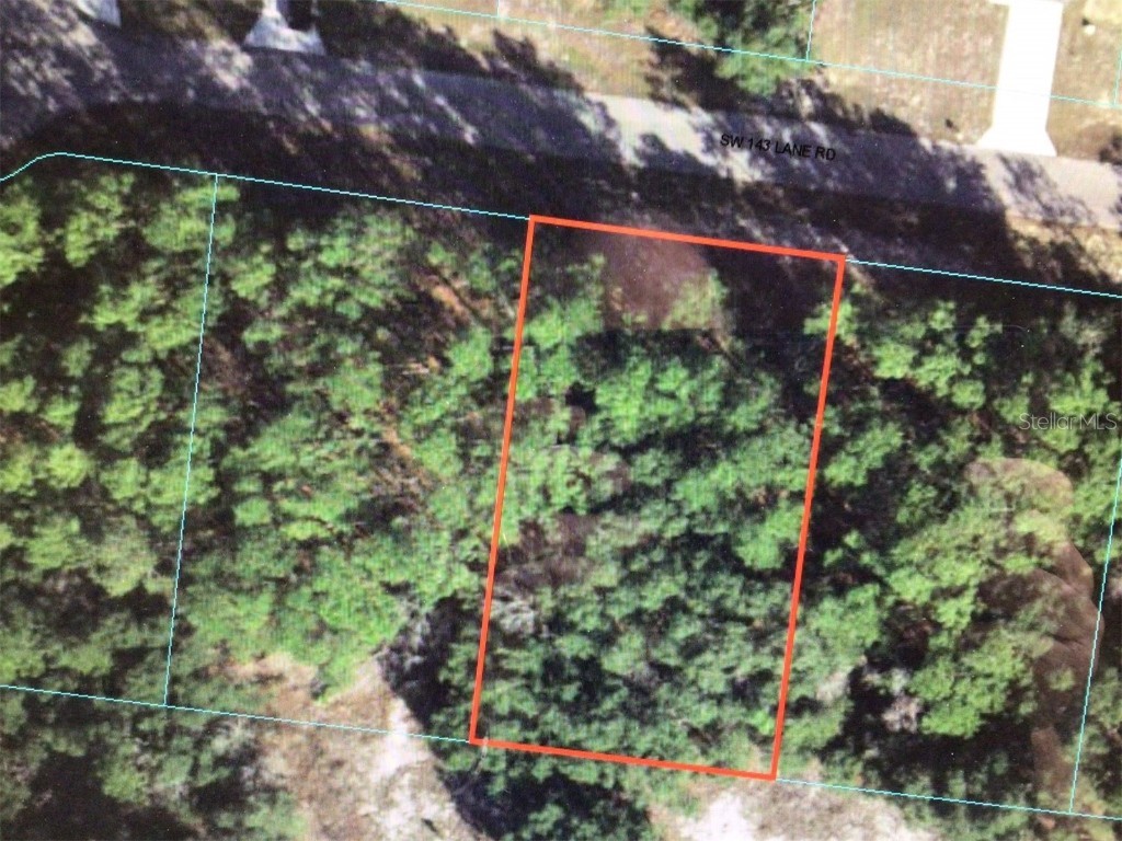 0 SW 143 Lane Road Ocala FL 34473 OM666656 image1