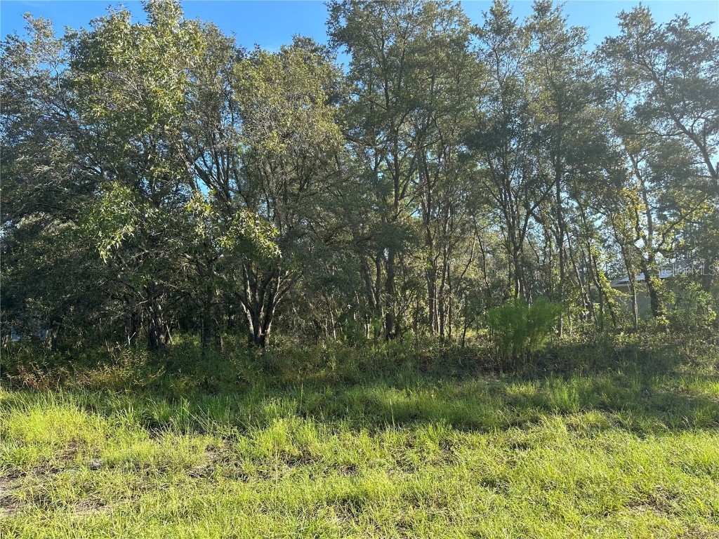 0 SW 143rd Lane Road Ocala FL 34473 OM664678 image1