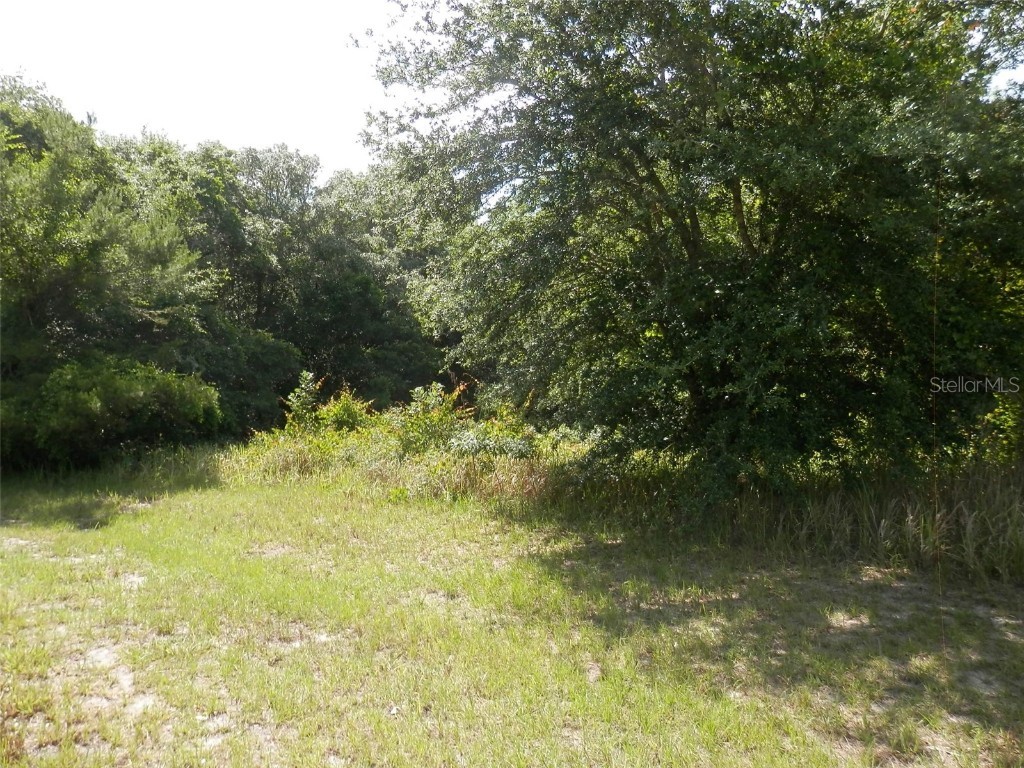 0 SW 143rd Place Dunnellon FL 34432 OM664961 image1