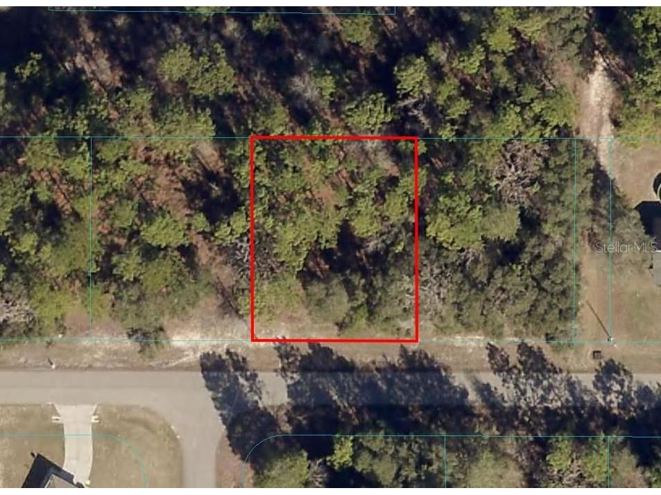 0 SW 144th Street Road Ocala FL 34473 OM657032 image1