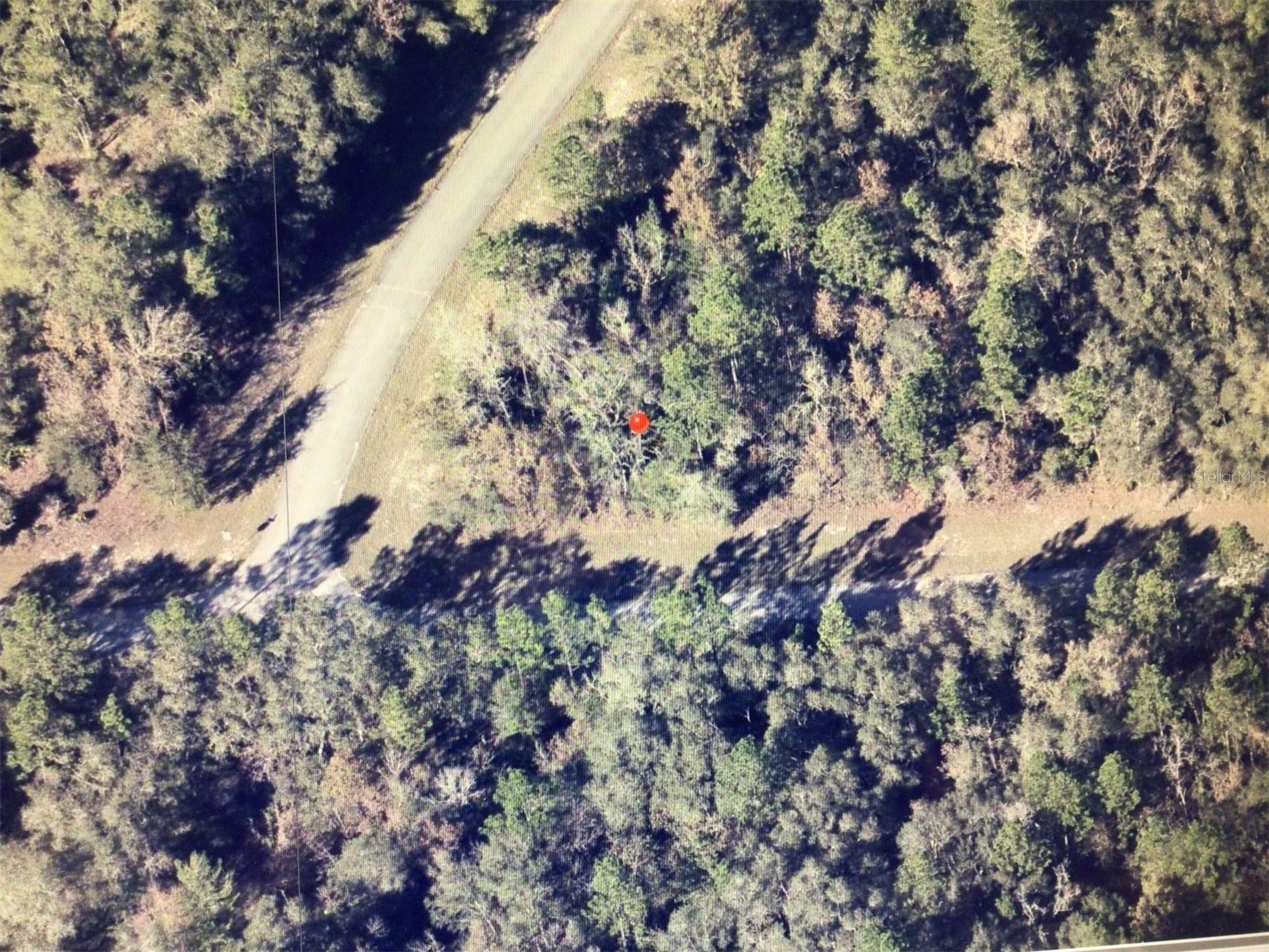 0 SW 145 Place Road Ocala FL 34473 OM723310 image1