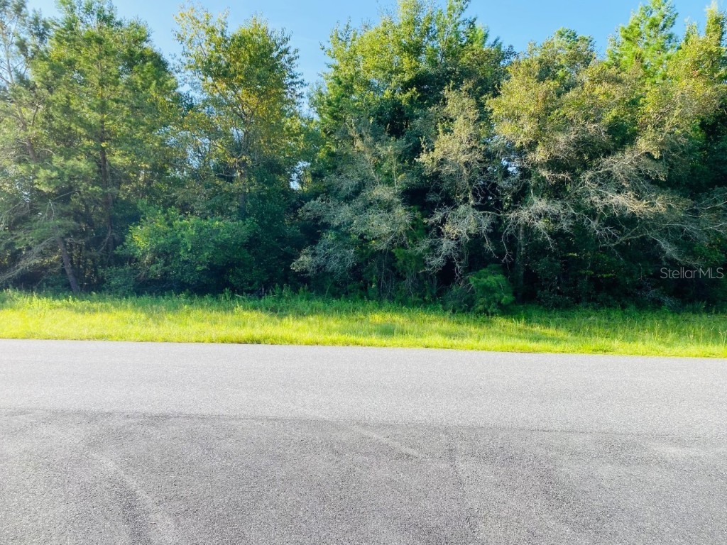 0 Sw 145th Place Rd Ocala FL 34473 OM625247 image1