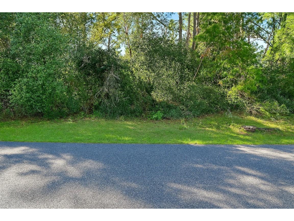 0 SW 146 Loop Ocala FL 34473 OM707182 image1