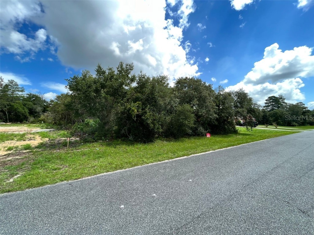 0 Sw 146th Loop Ocala FL 34473 O6107299 image1