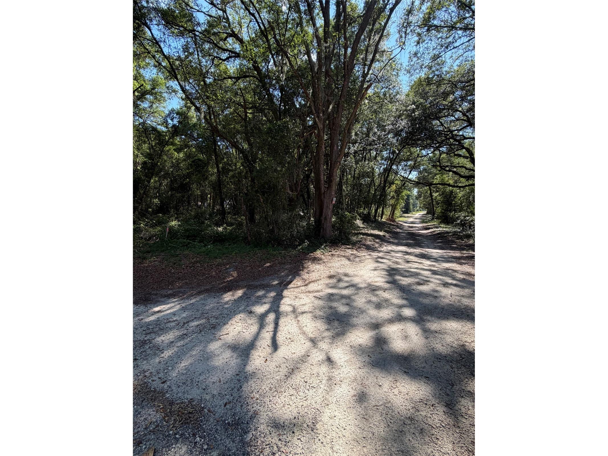 0 SW 146th Place #328 Dunnellon FL 34432 TB8512134 image1