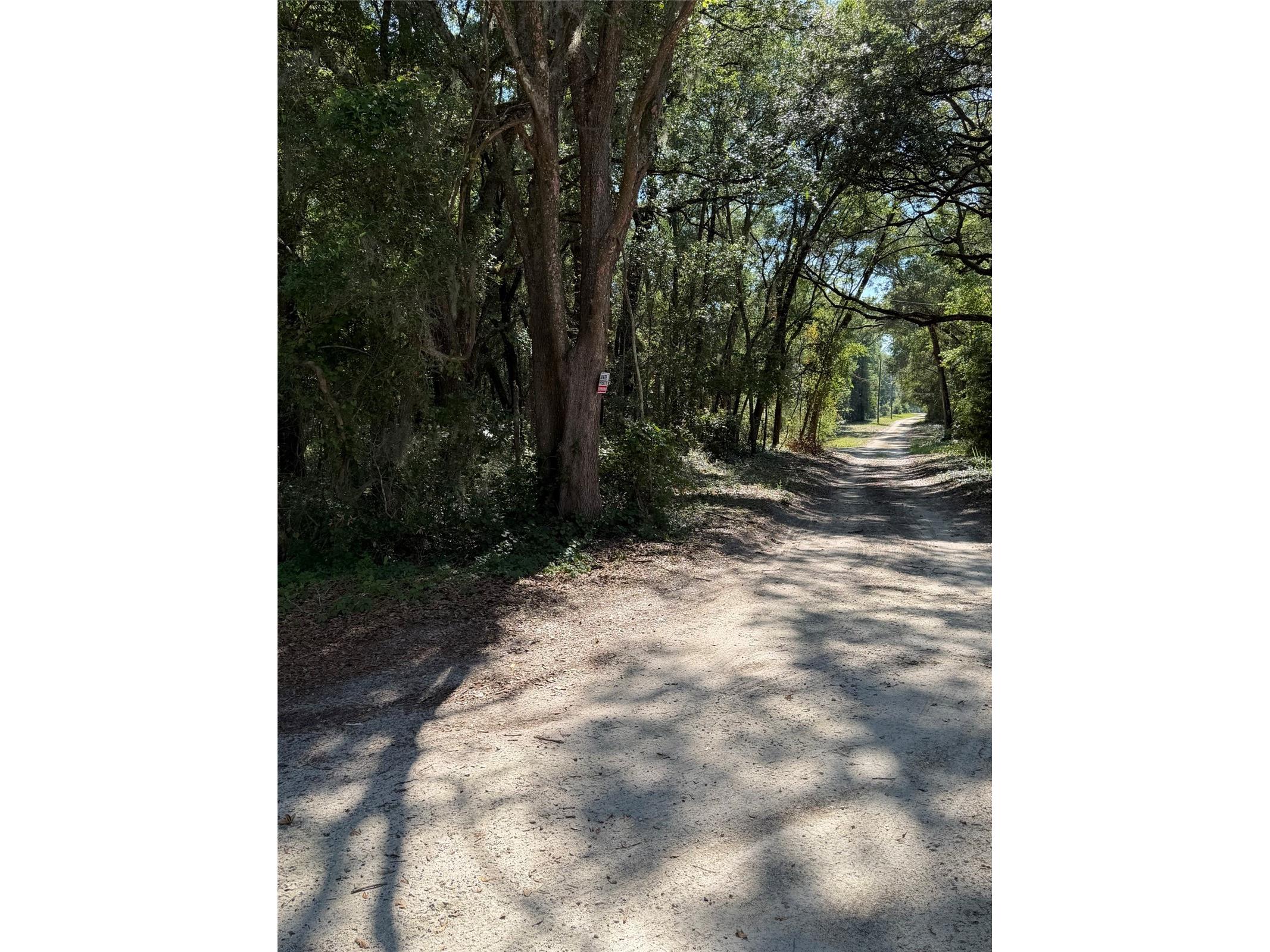 0 SW 146th Place #328 Dunnellon FL 34432 TB8512134 image2
