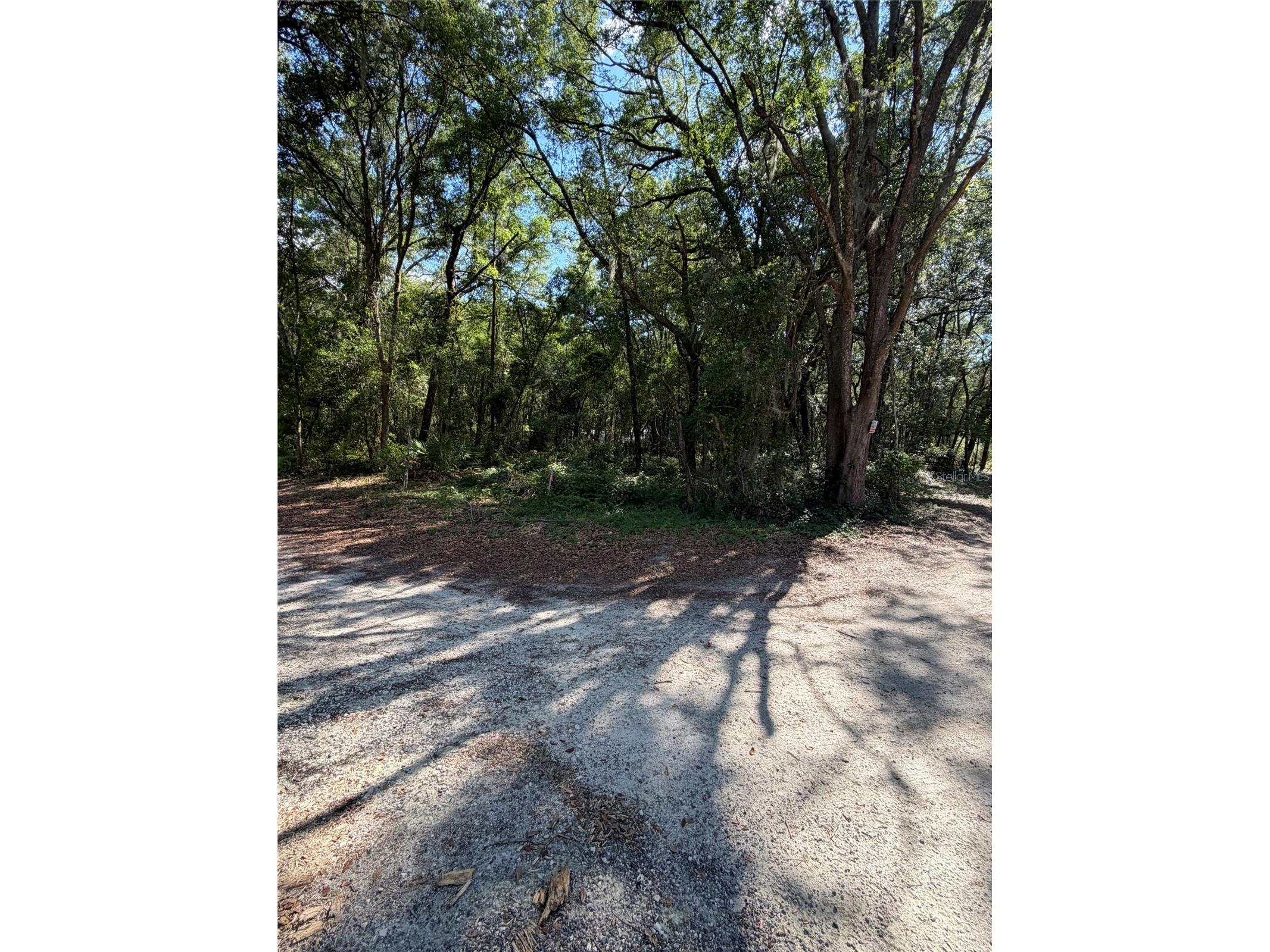 0 SW 146th Place #328 Dunnellon FL 34432 TB8512134 image3