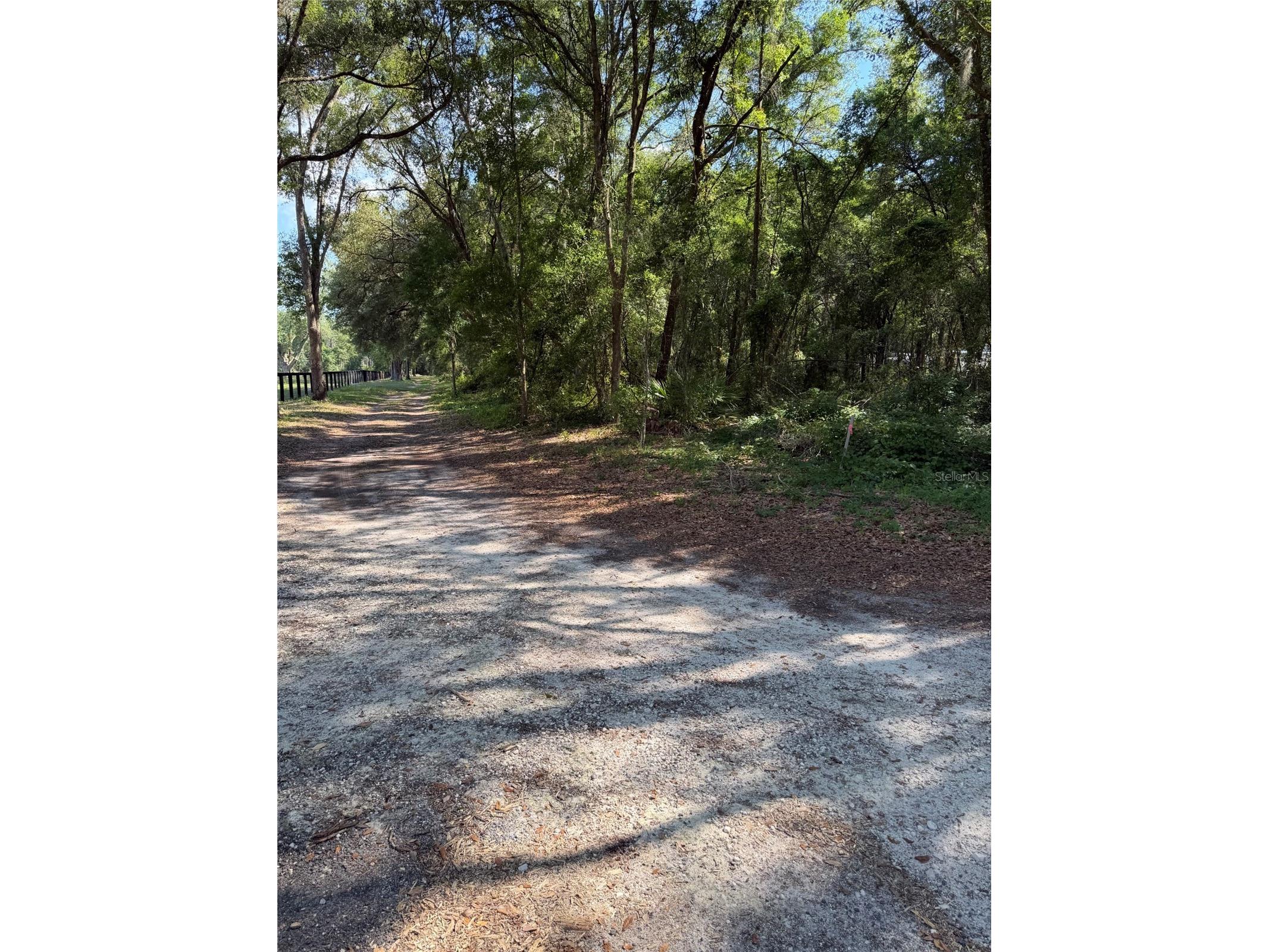 0 SW 146th Place #328 Dunnellon FL 34432 TB8512134 image4