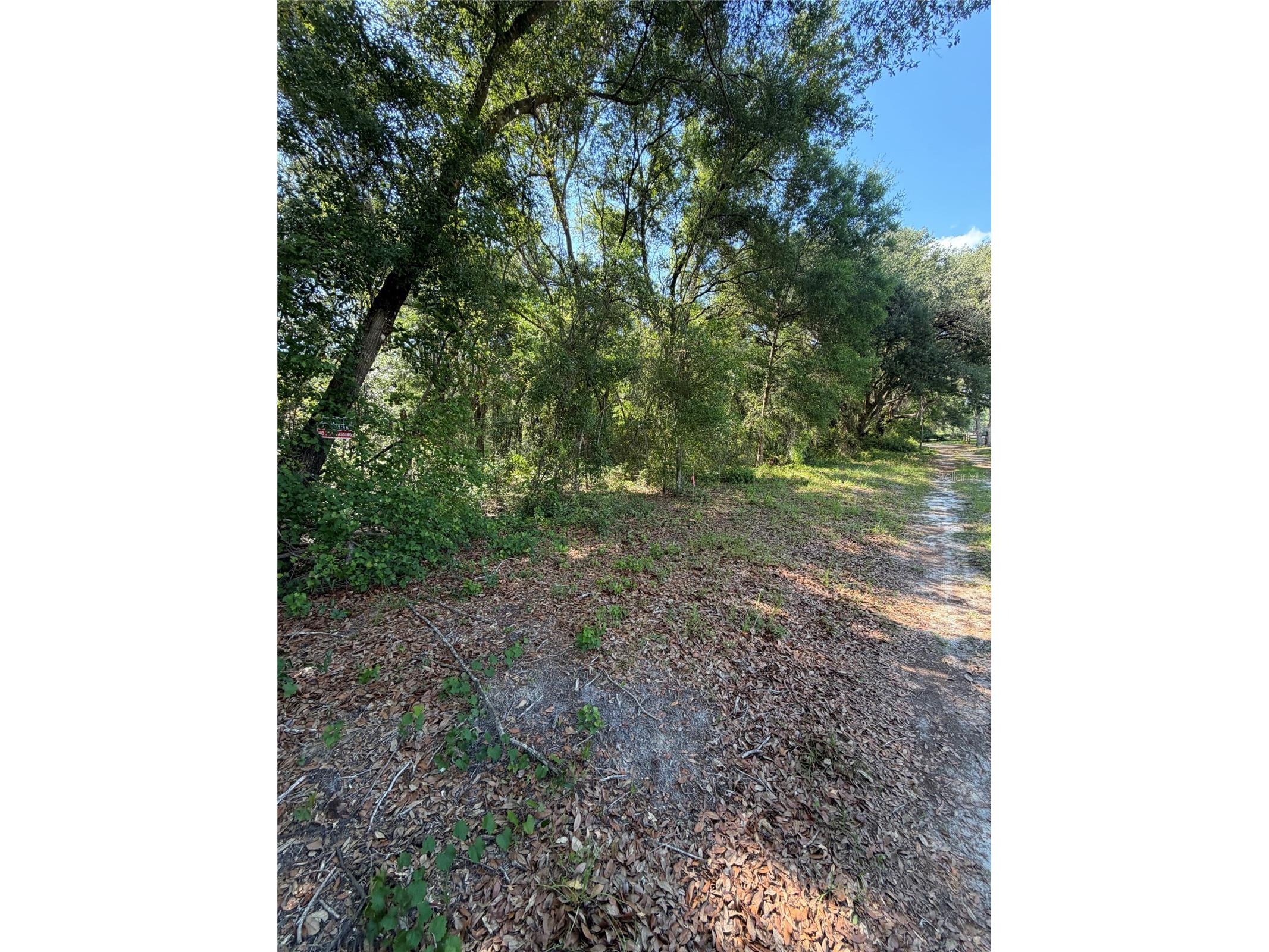 0 SW 146th Place #328 Dunnellon FL 34432 TB8512134 image5