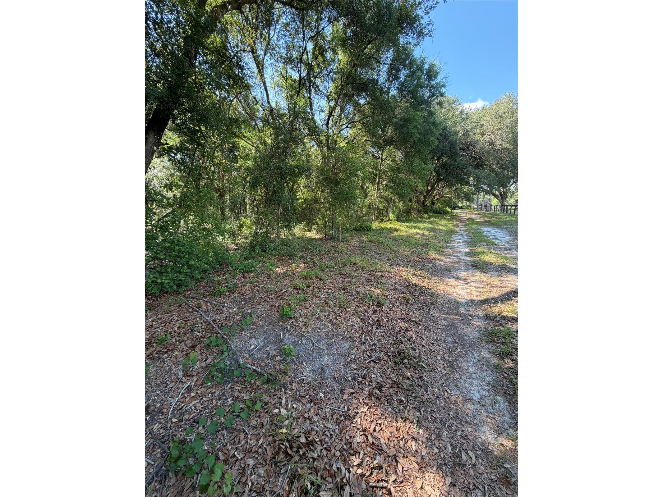 0 SW 146th Place #328 Dunnellon FL 34432 TB8512134 image6