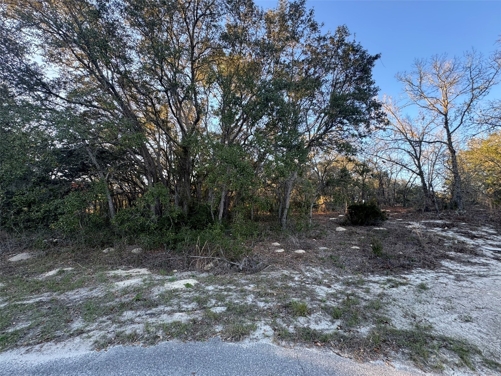 0 SW 147th Street Road Ocala FL 34473 OM721489 image1