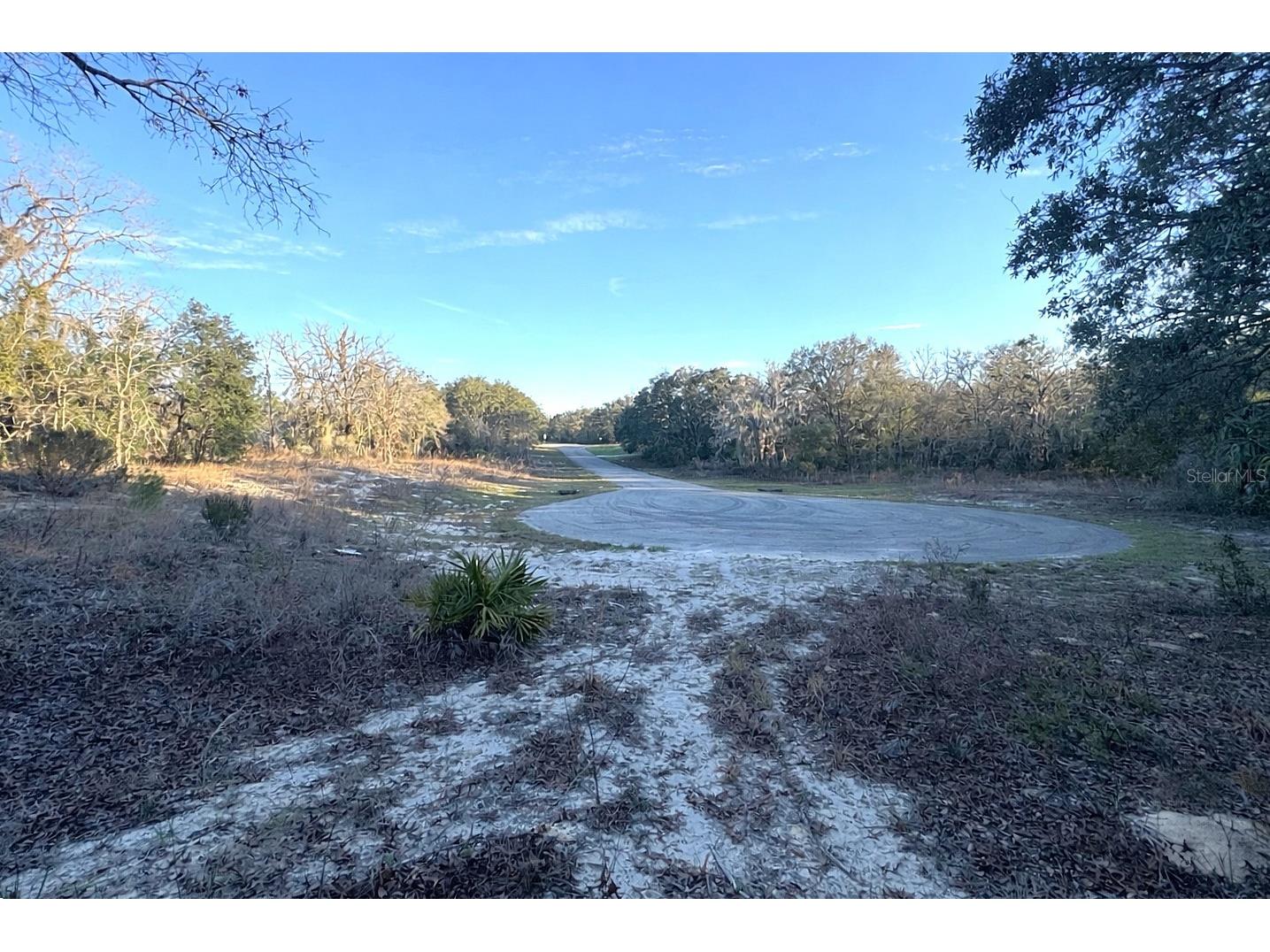 0 SW 147th Street Road Ocala FL 34473 OM721489 image2