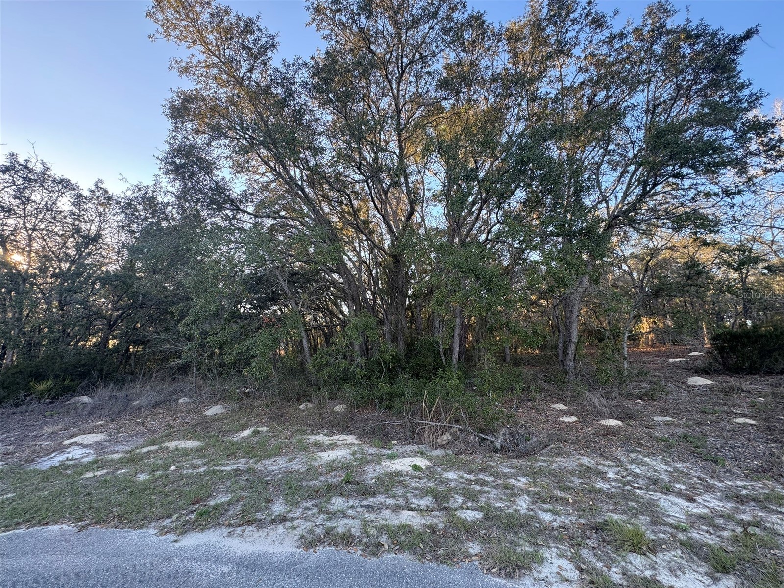 0 SW 147th Street Road Ocala FL 34473 OM721489 image3
