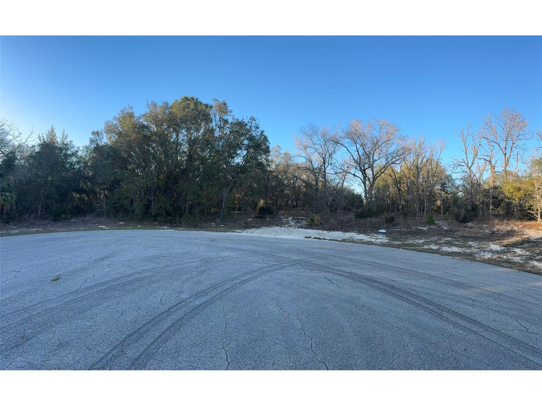 0 SW 147th Street Road Ocala FL 34473 OM721489 image5