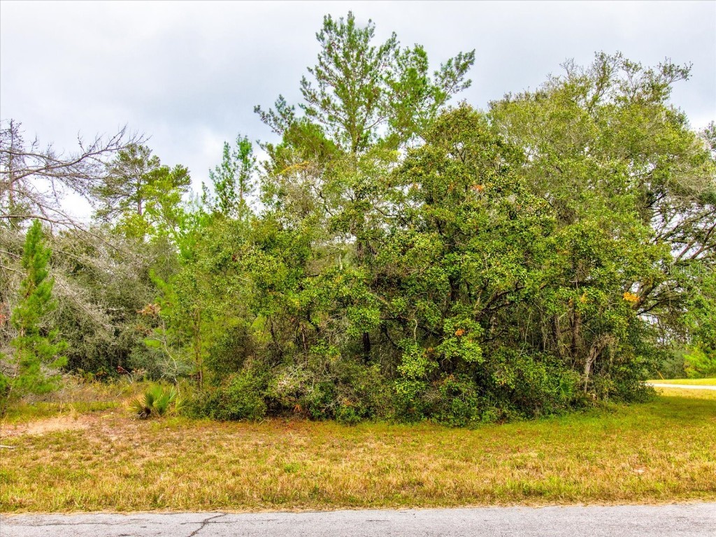 0 SW 148th Place Road Ocala FL 34473 T3488686 image12