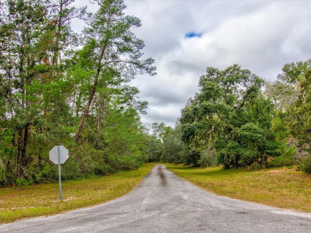 0 SW 148th Place Road Ocala FL 34473 T3488686 image14