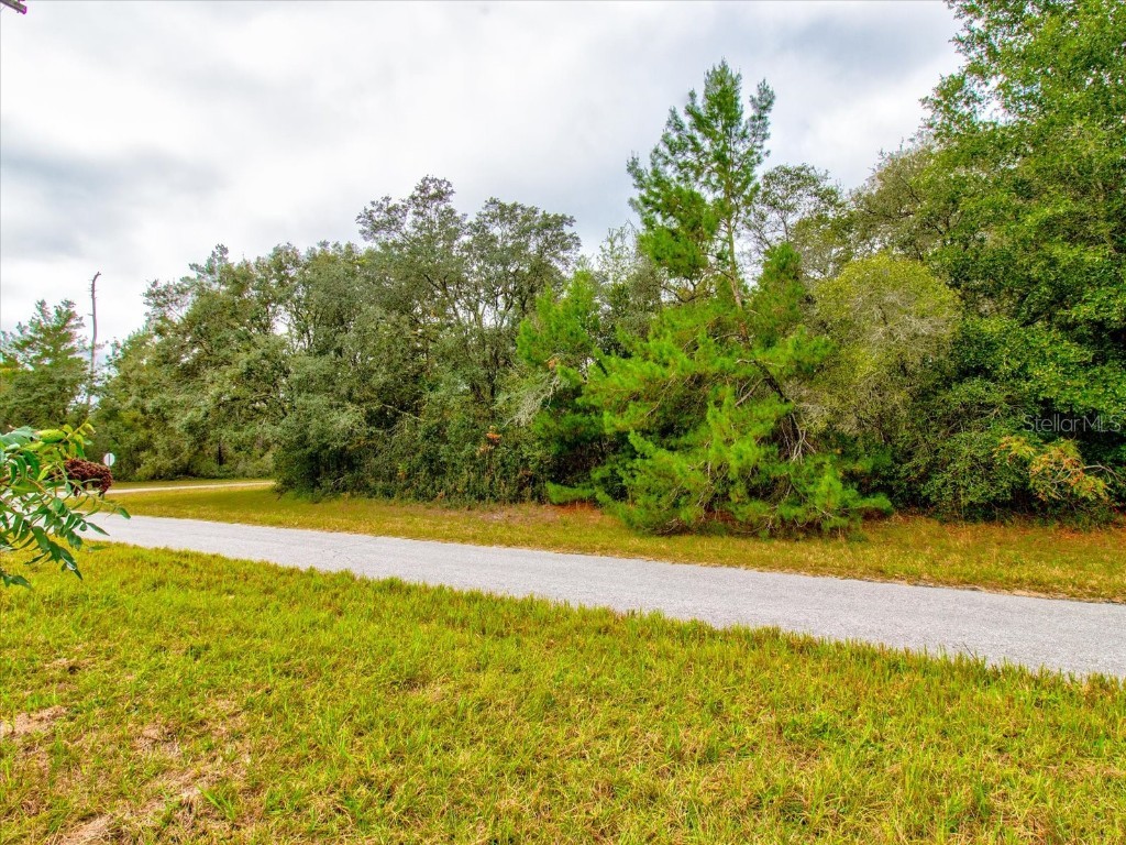 0 SW 148th Place Road Ocala FL 34473 T3488686 image17