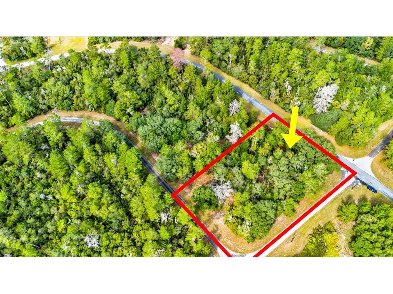 0 SW 148th Place Road Ocala FL 34473 T3488686 image2