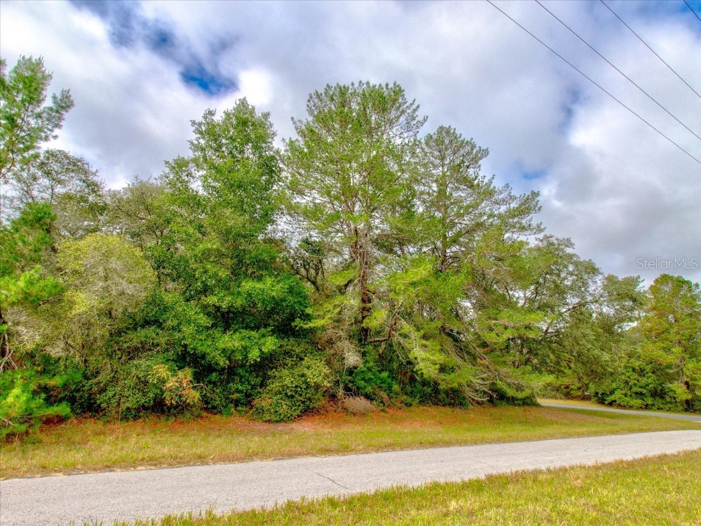 0 SW 148th Place Road Ocala FL 34473 T3488686 image28