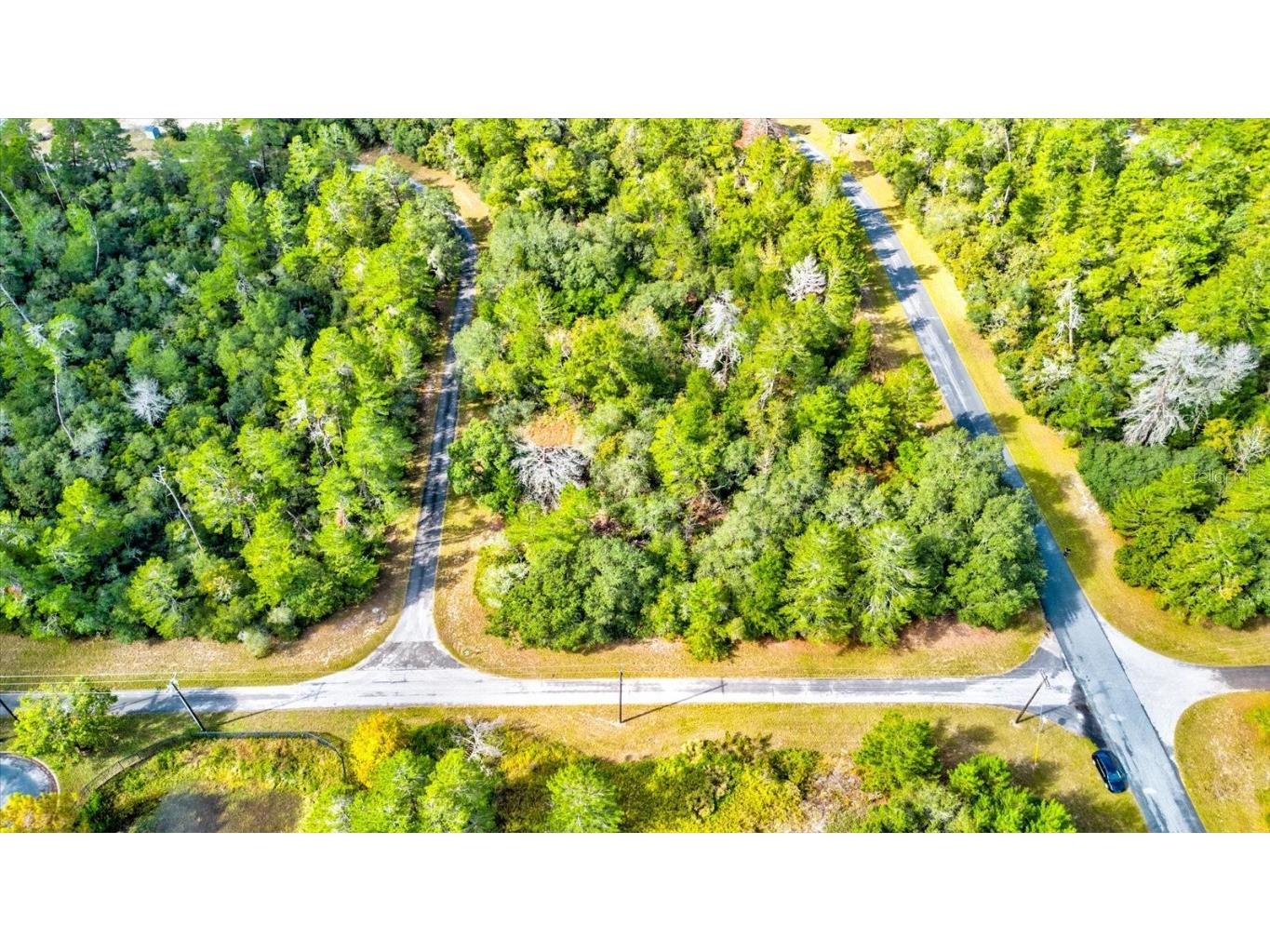 0 SW 148th Place Road Ocala FL 34473 T3488686 image3