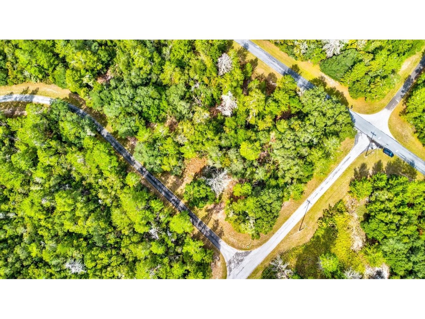 0 SW 148th Place Road Ocala FL 34473 T3488686 image43